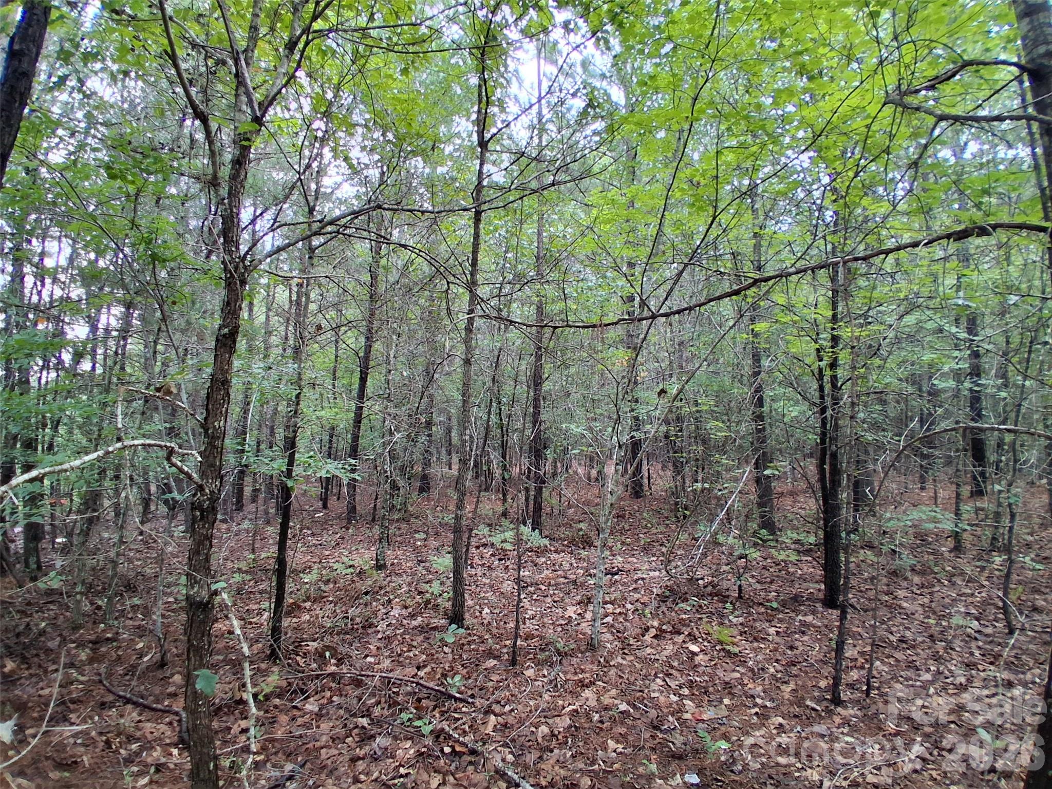 0 Nc 109 Highway Property Photo 9