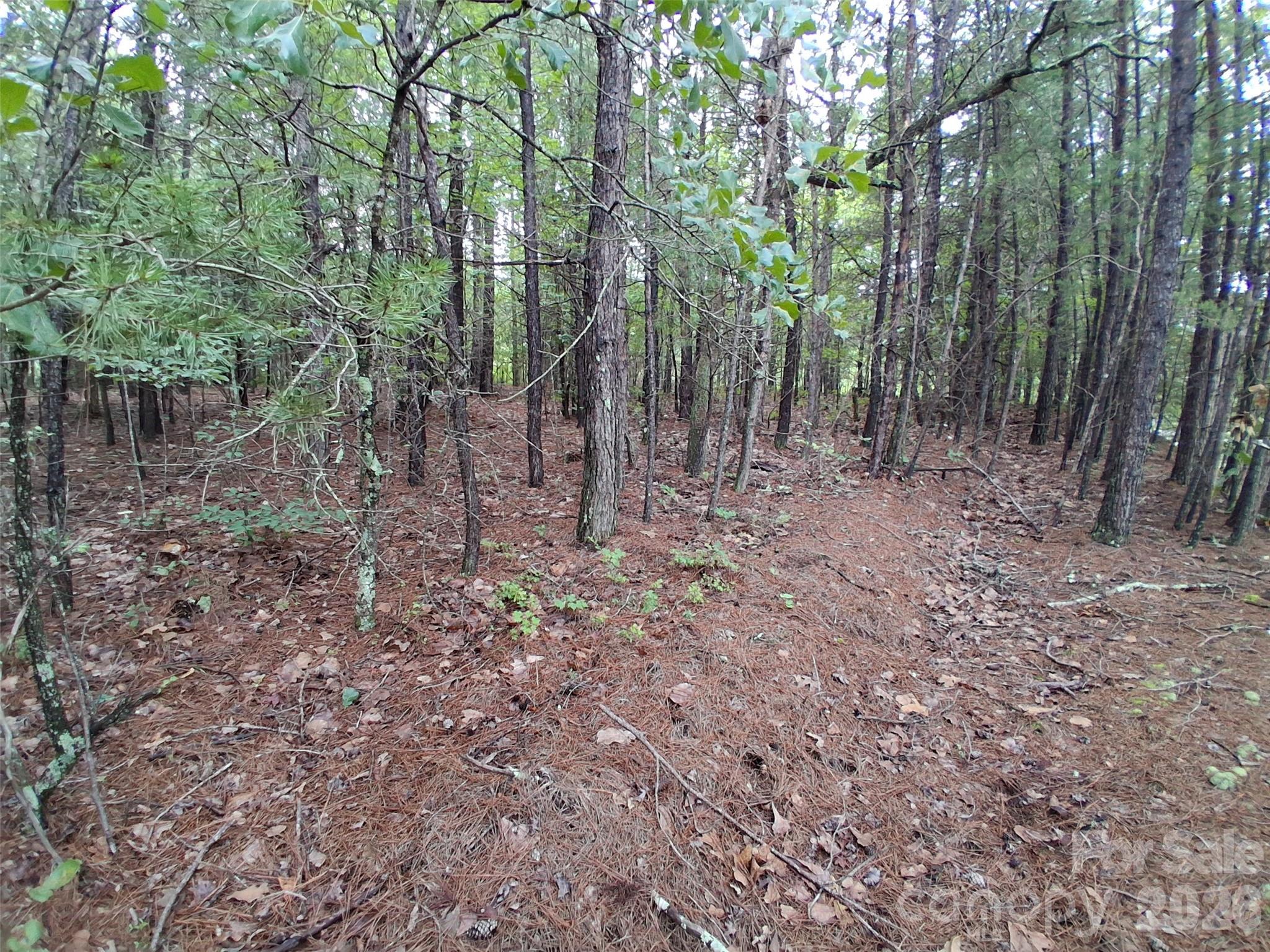 0 Nc 109 Highway Property Photo 10