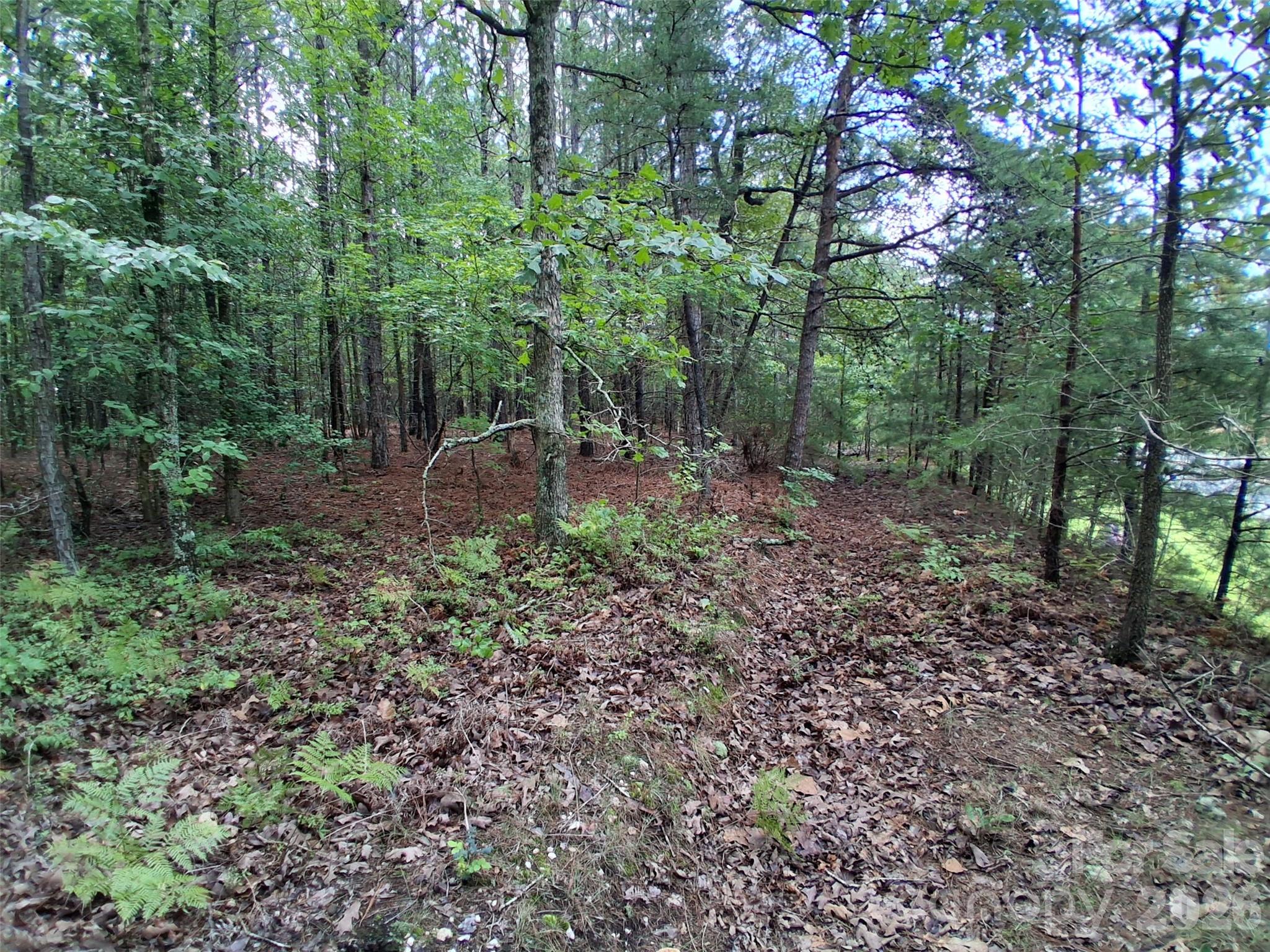 0 Nc 109 Highway Property Photo 14