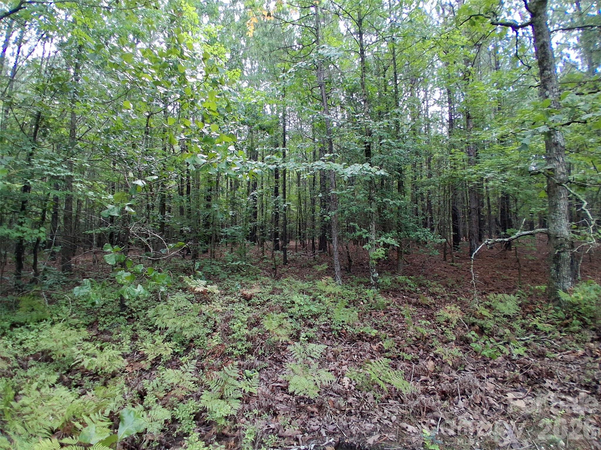 0 Nc 109 Highway Property Photo 15