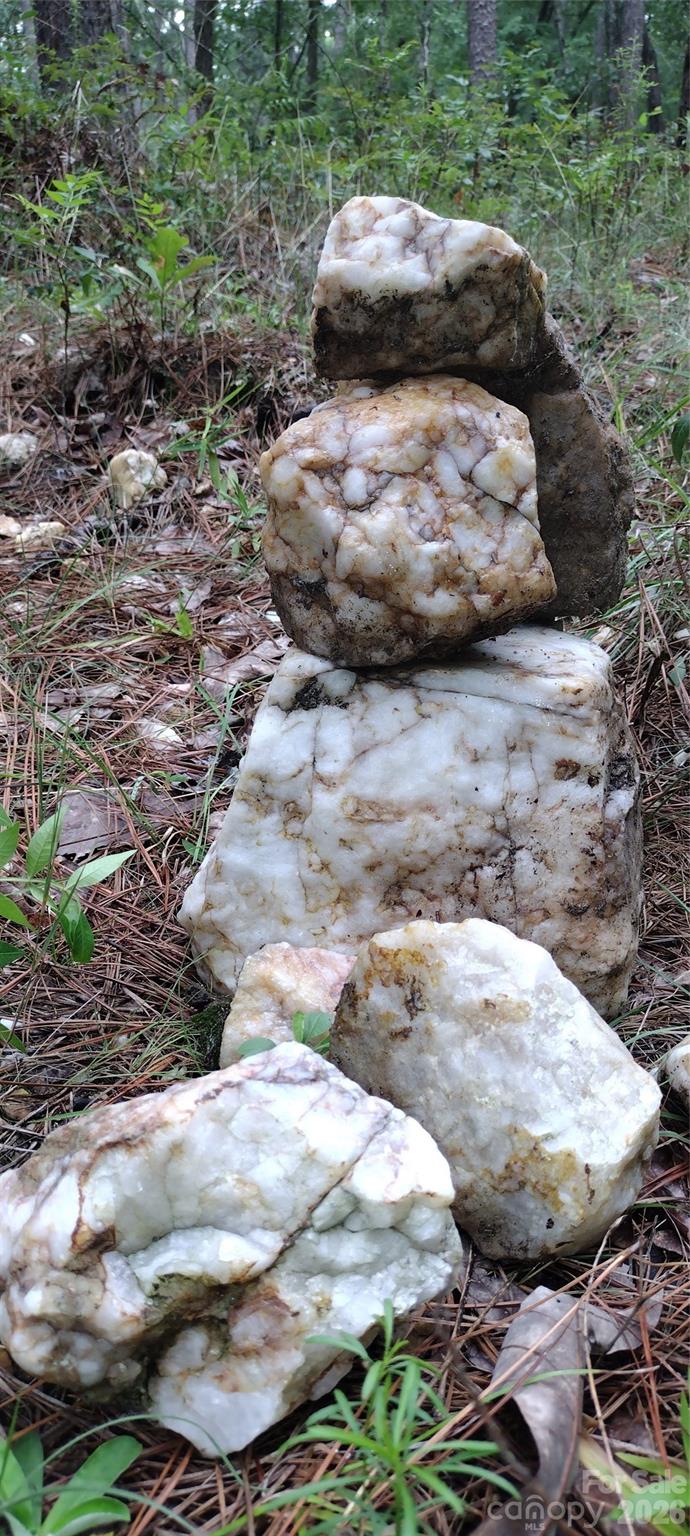 0 Nc 109 Highway Property Photo 22