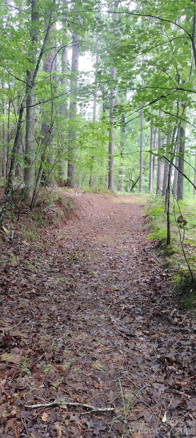 0 Nc 109 Highway Property Photo 24