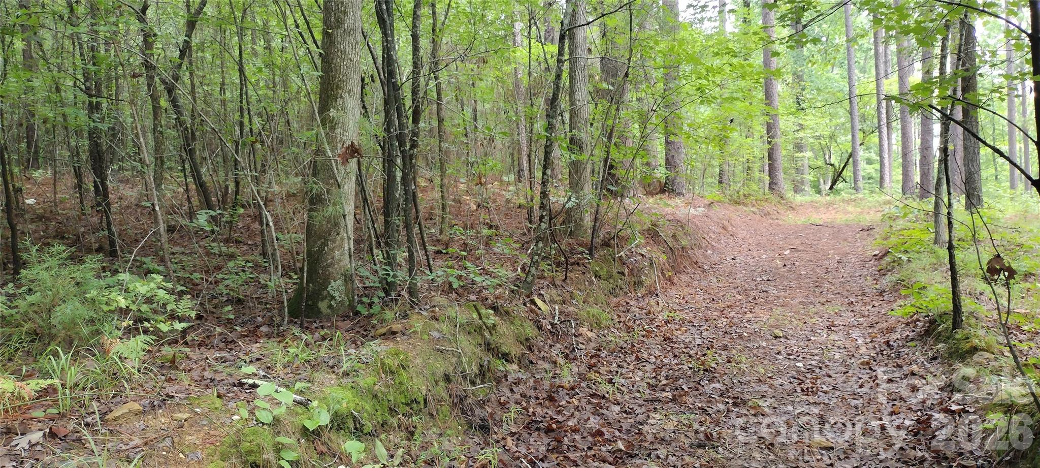 0 Nc 109 Highway Property Photo 25