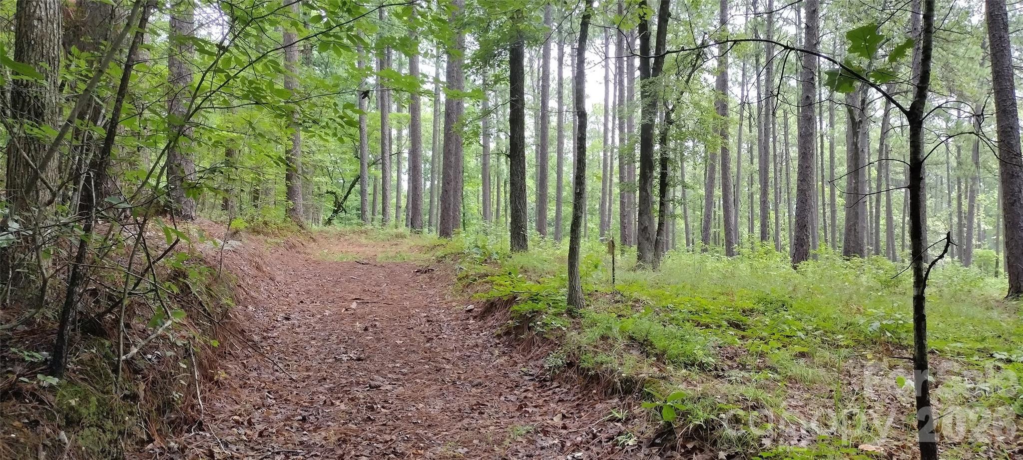 0 Nc 109 Highway Property Photo 26