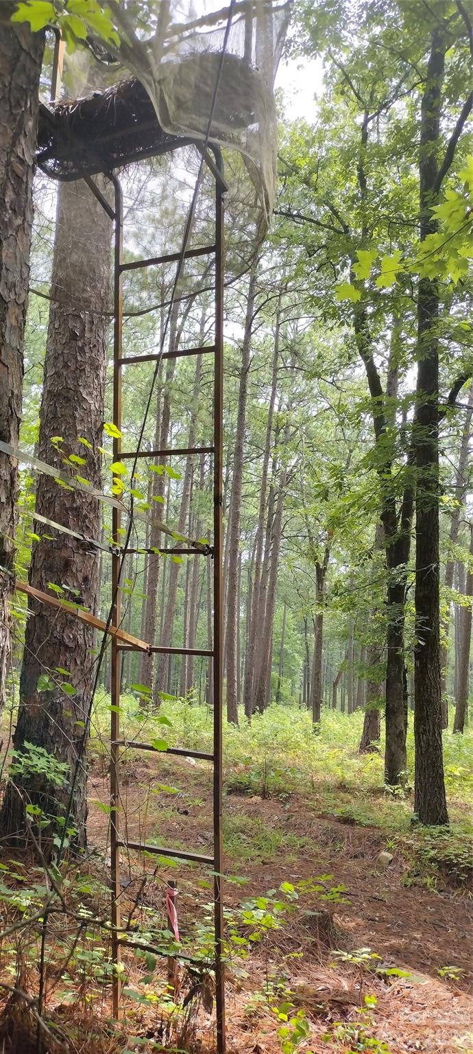0 Nc 109 Highway Property Photo 27