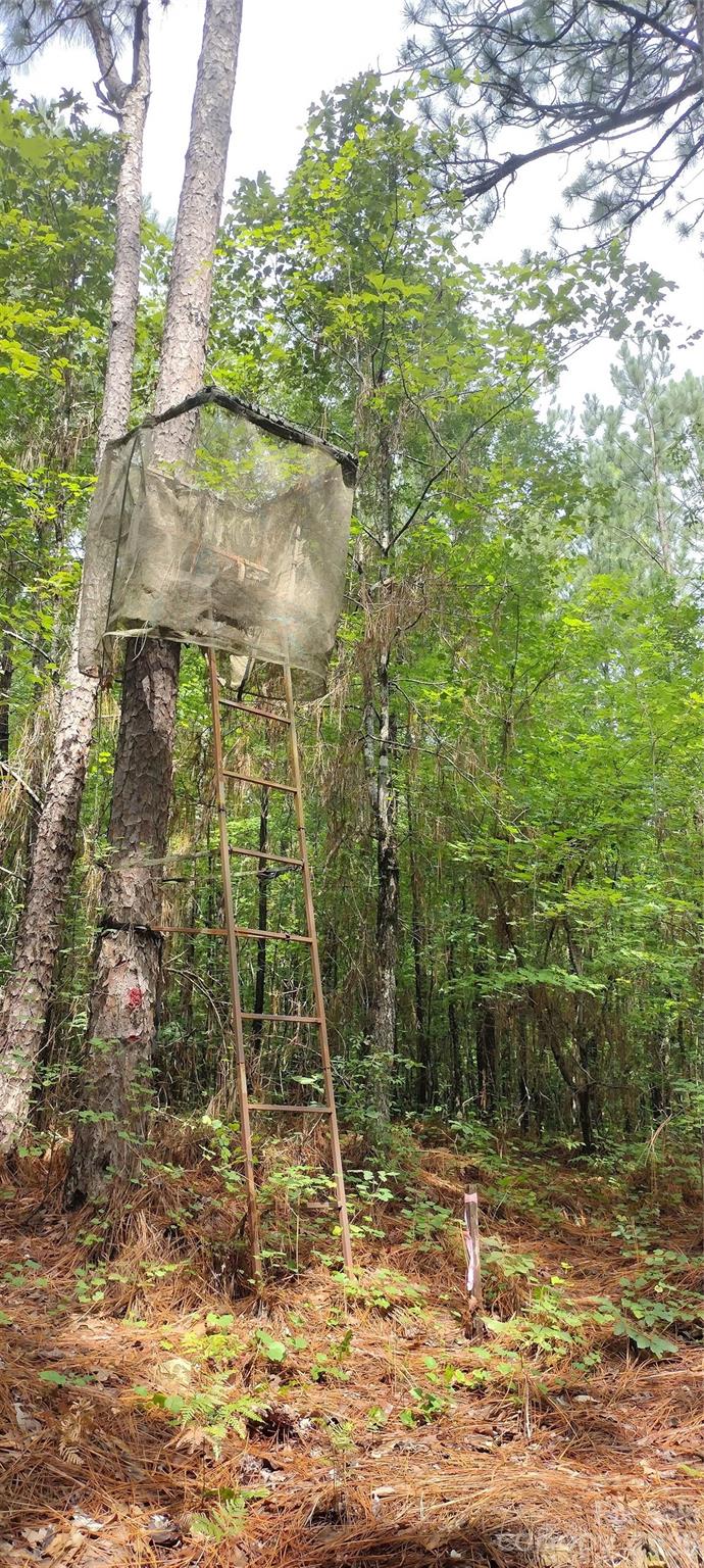 0 Nc 109 Highway Property Photo 28