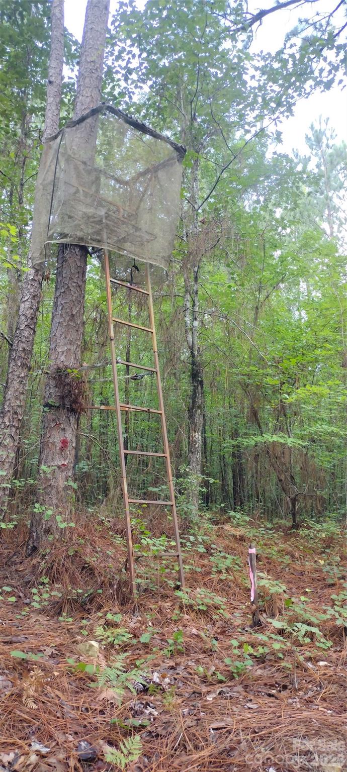 0 Nc 109 Highway Property Photo 30