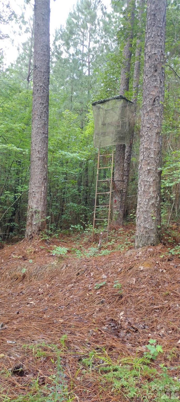 0 Nc 109 Highway Property Photo 31