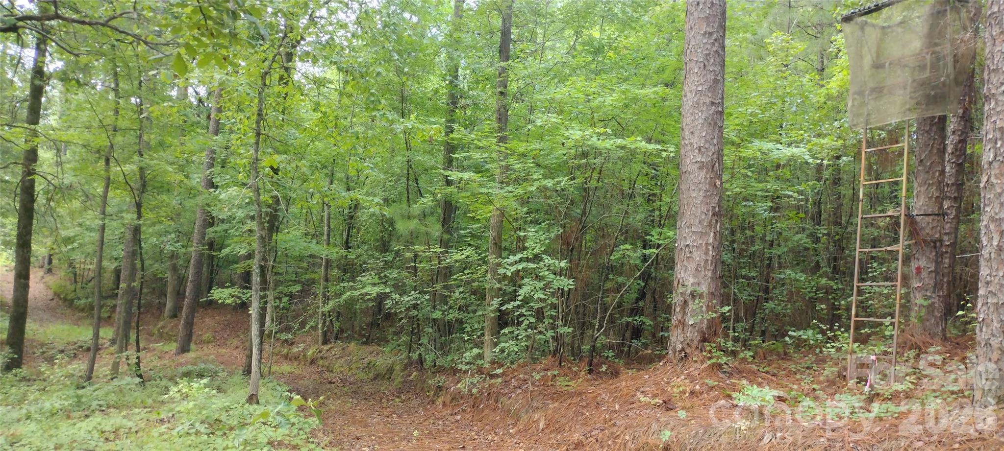 0 Nc 109 Highway Property Photo 32