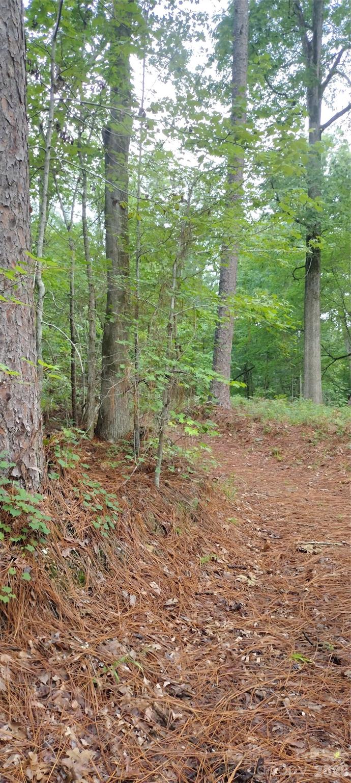 0 Nc 109 Highway Property Photo 33