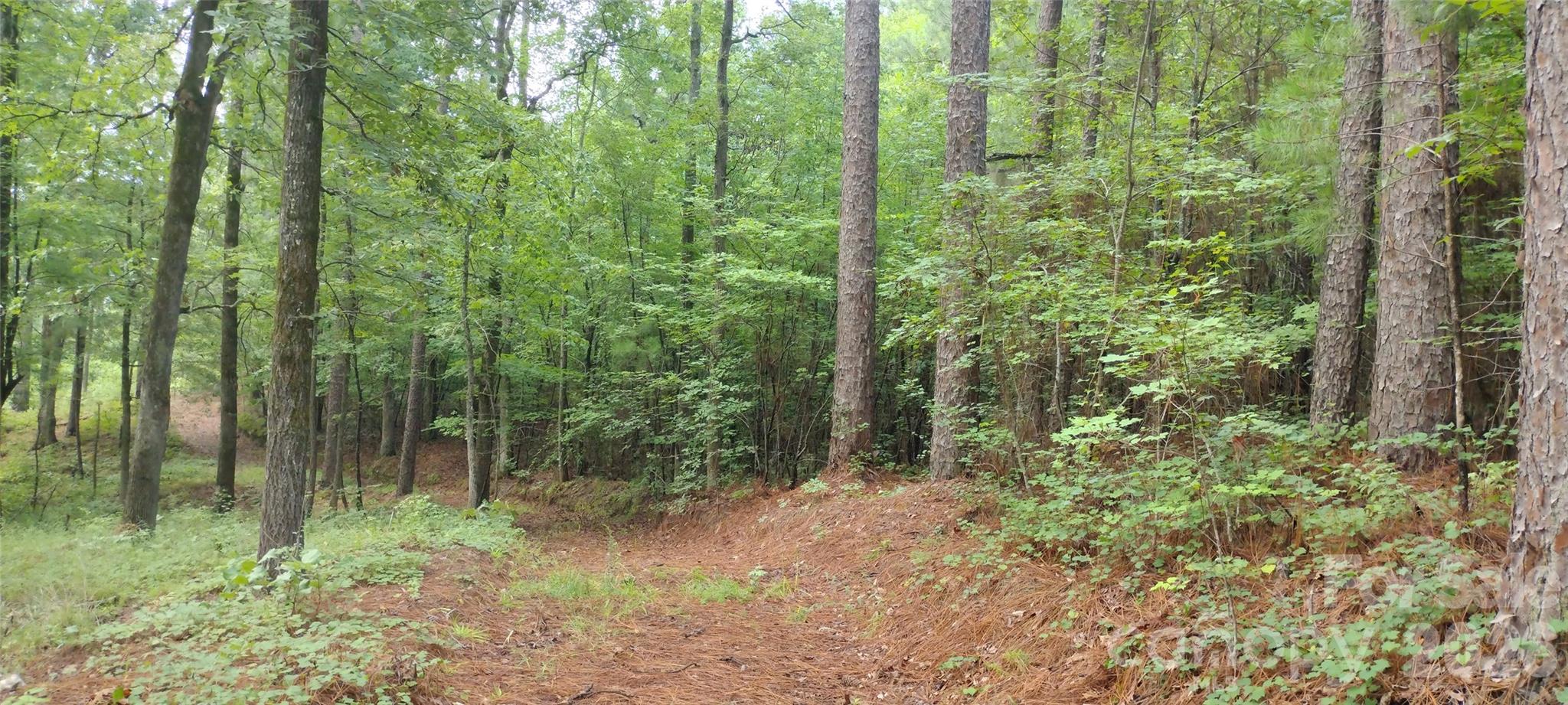 0 Nc 109 Highway Property Photo 34