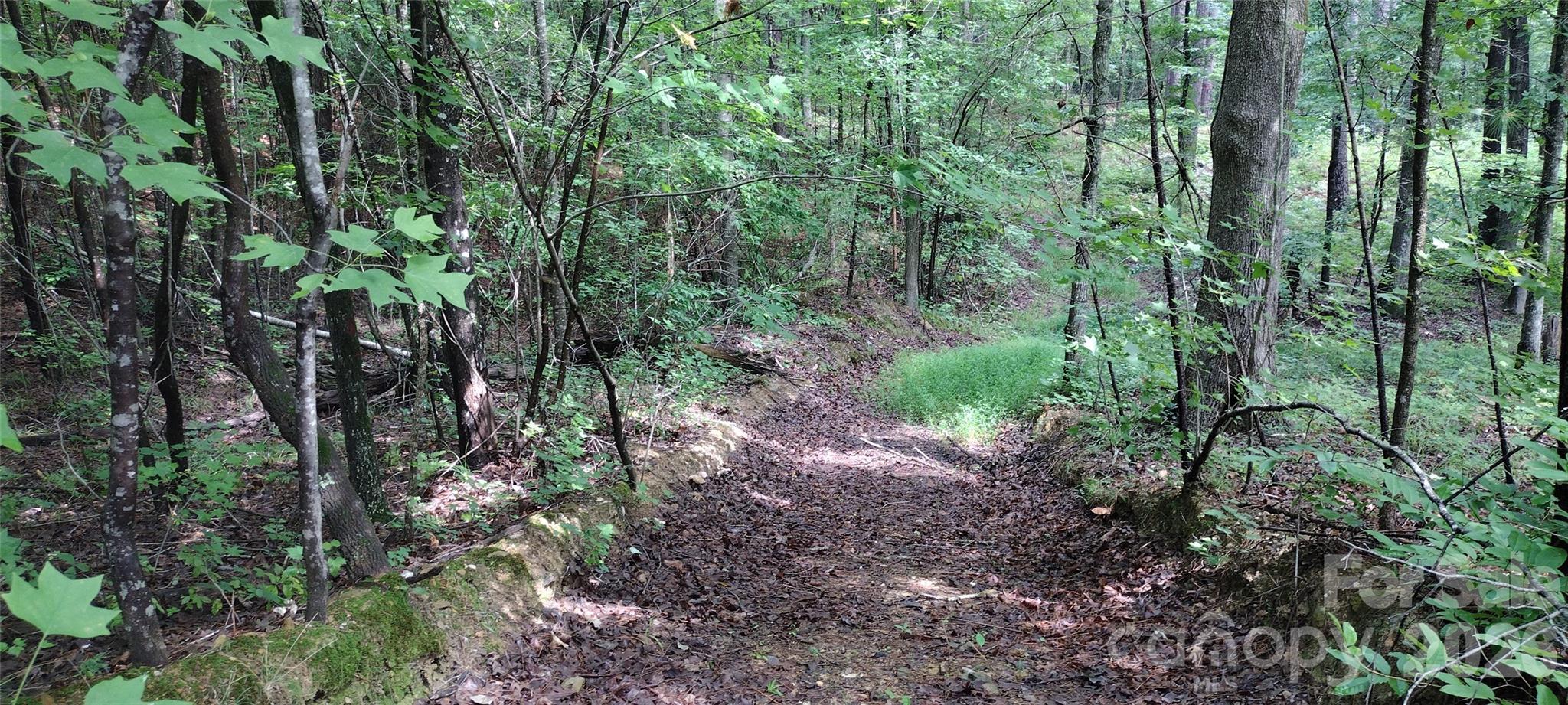 0 Nc 109 Highway Property Photo 35