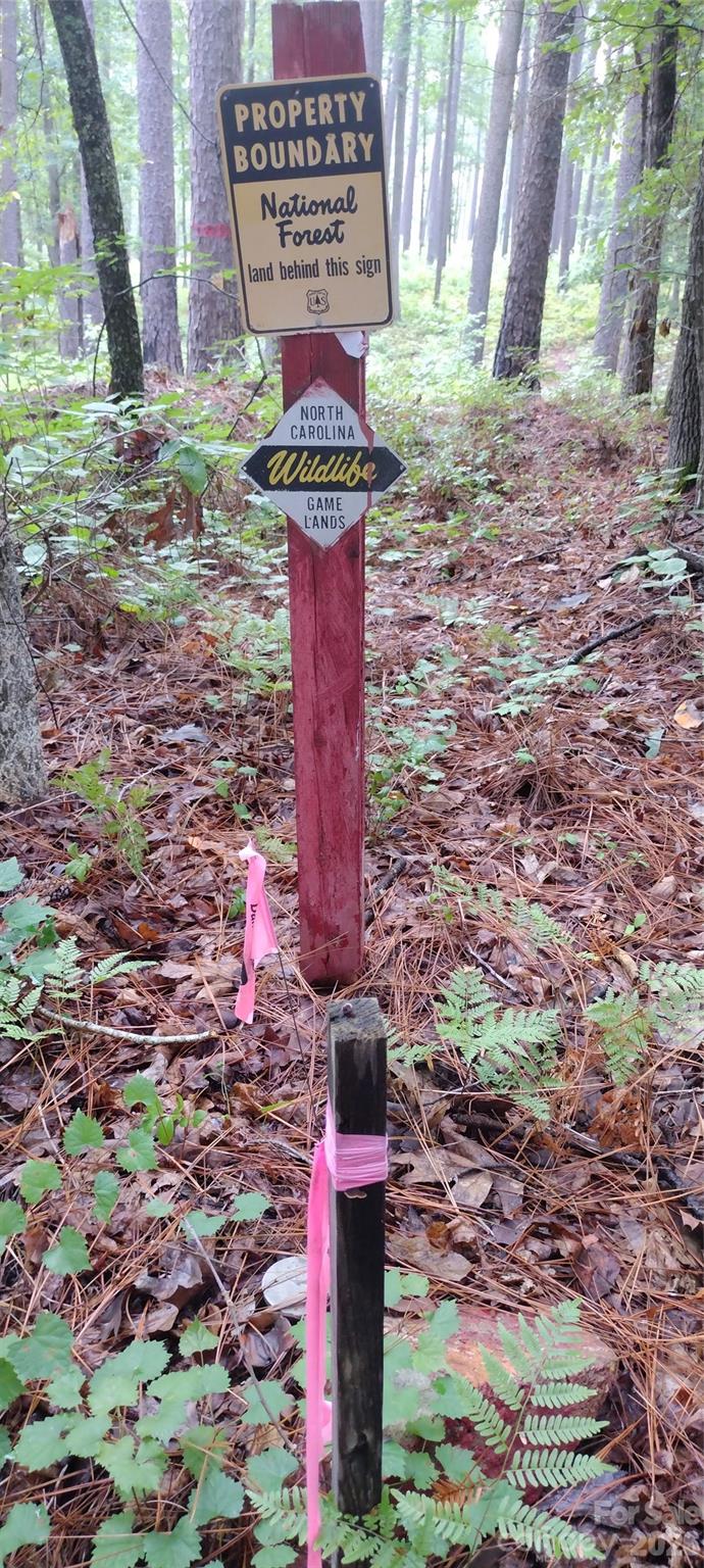 0 Nc 109 Highway Property Photo 38