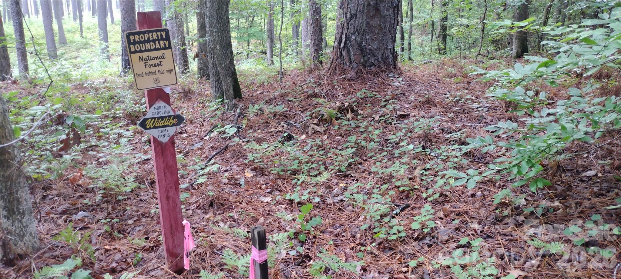 0 Nc 109 Highway Property Photo 39