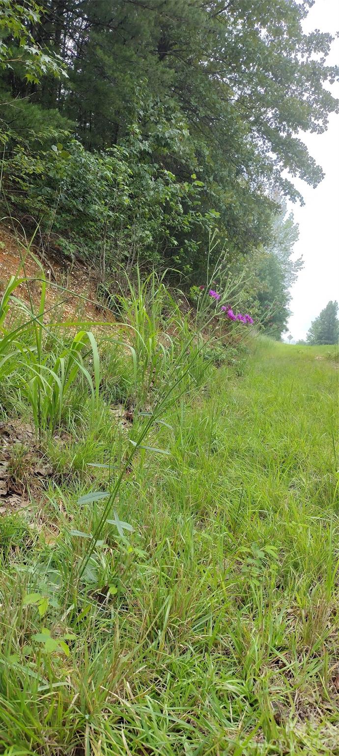 0 Nc 109 Highway Property Photo 47