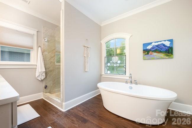 748 Ellsworth Road Property Photo 17