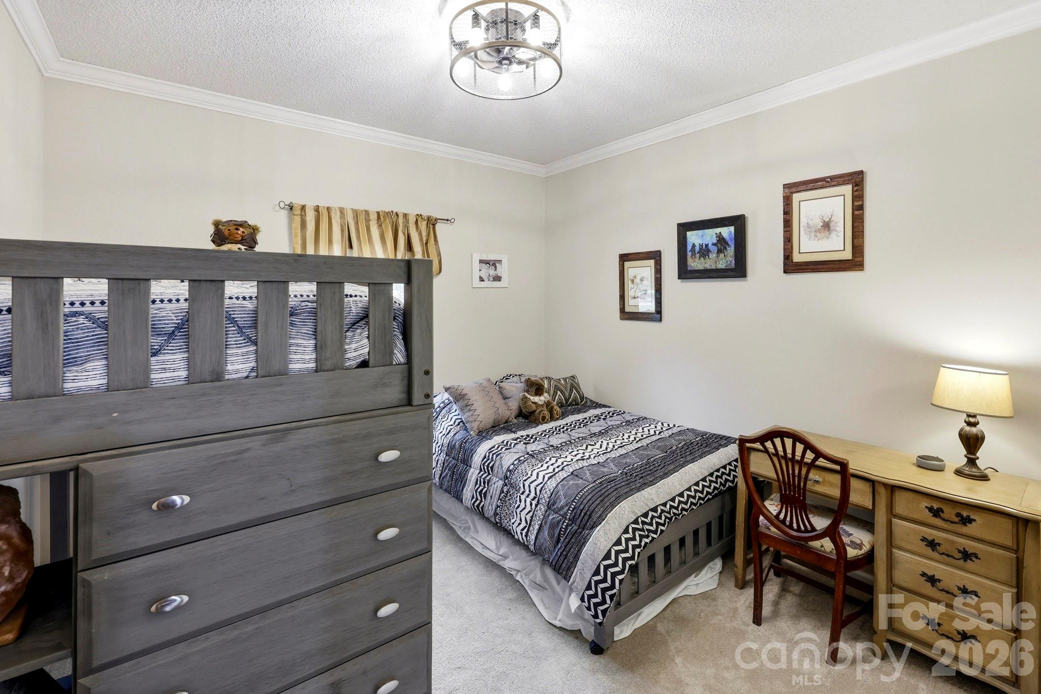 221 Willow Lakes Drive Property Photo 20