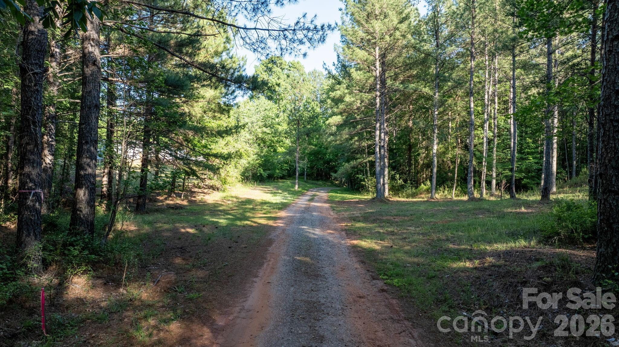 0 Huffman Bridge Road Property Photo 8