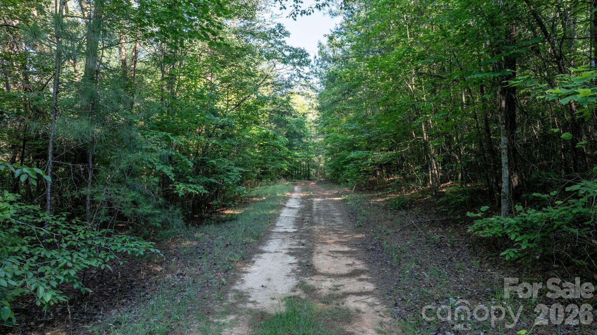 0 Huffman Bridge Road Property Photo 9