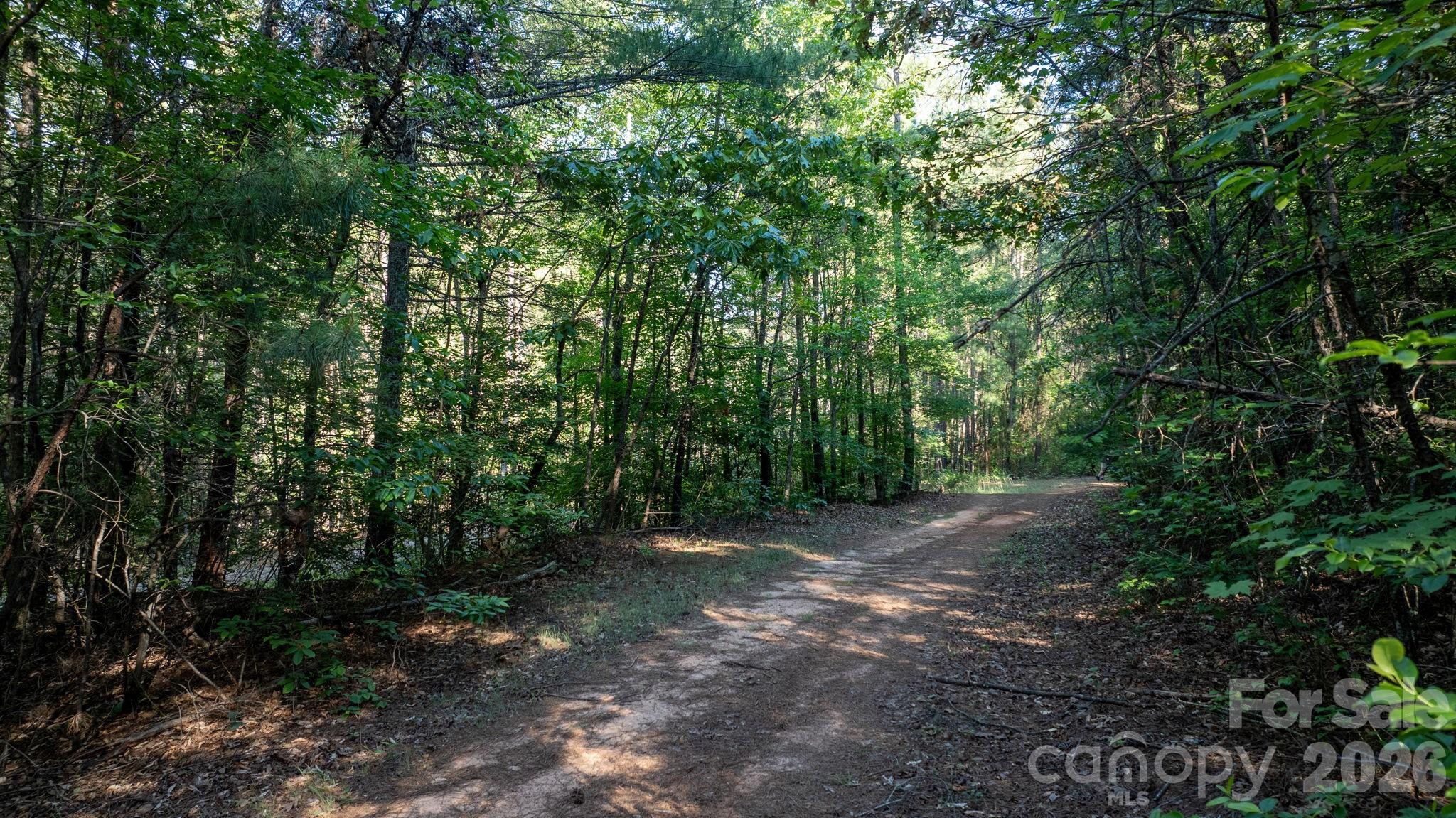 0 Huffman Bridge Road Property Photo 11