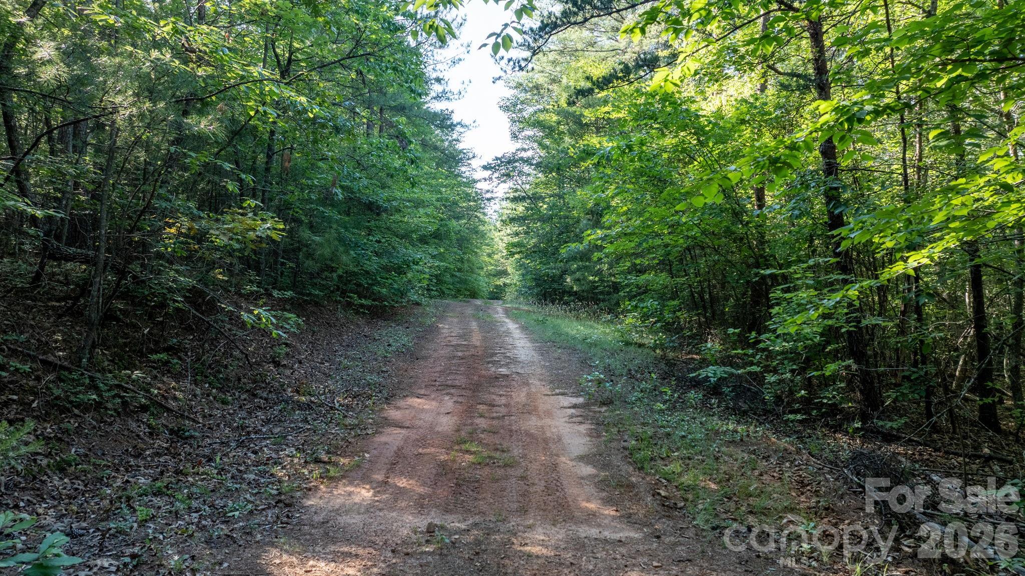 0 Huffman Bridge Road Property Photo 12
