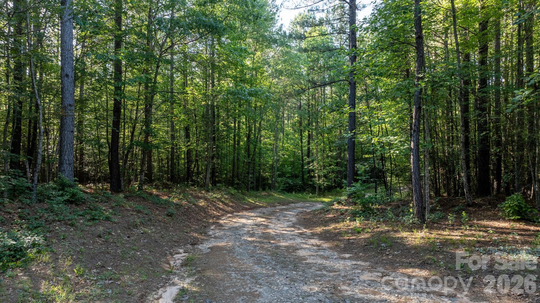 0 Huffman Bridge Road Property Photo 14