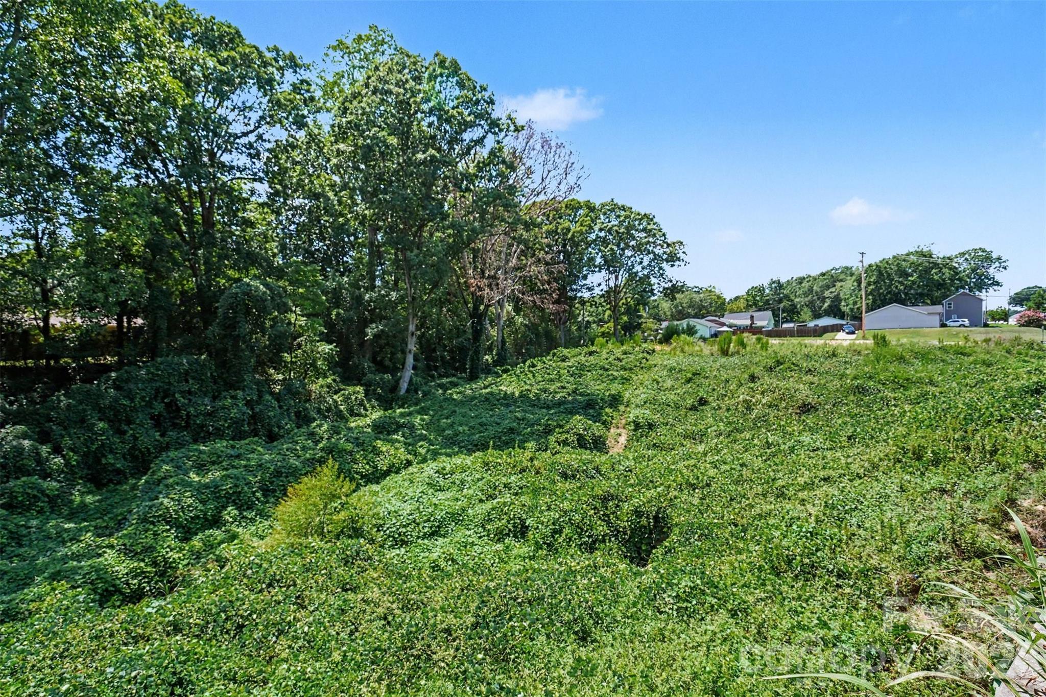 415 White Street Property Photo 9
