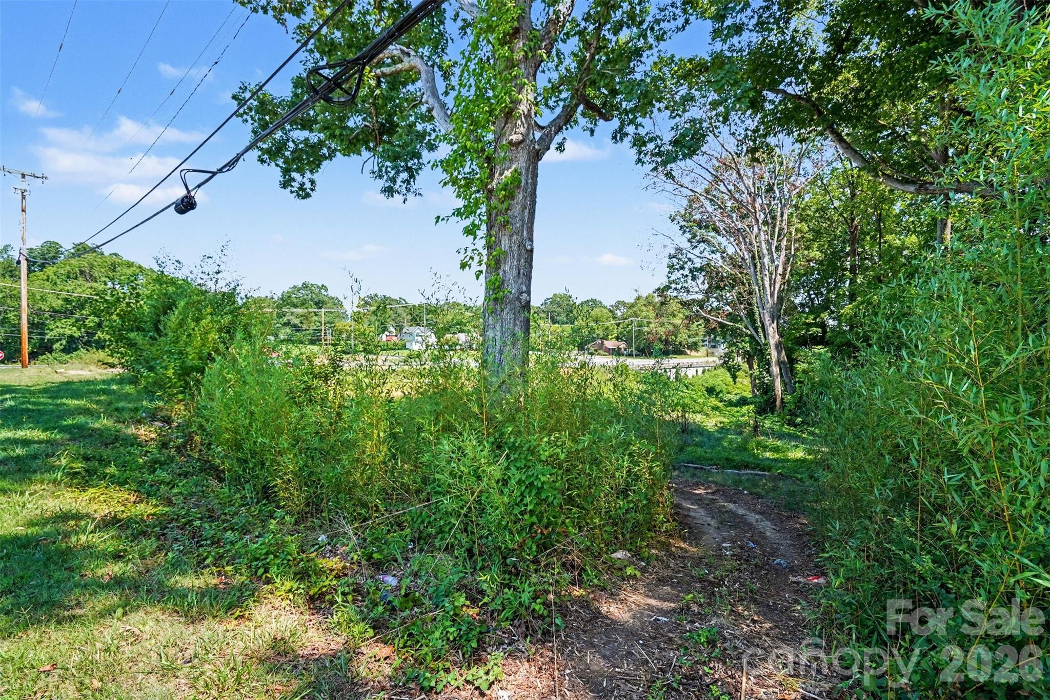 415 White Street Property Photo 11