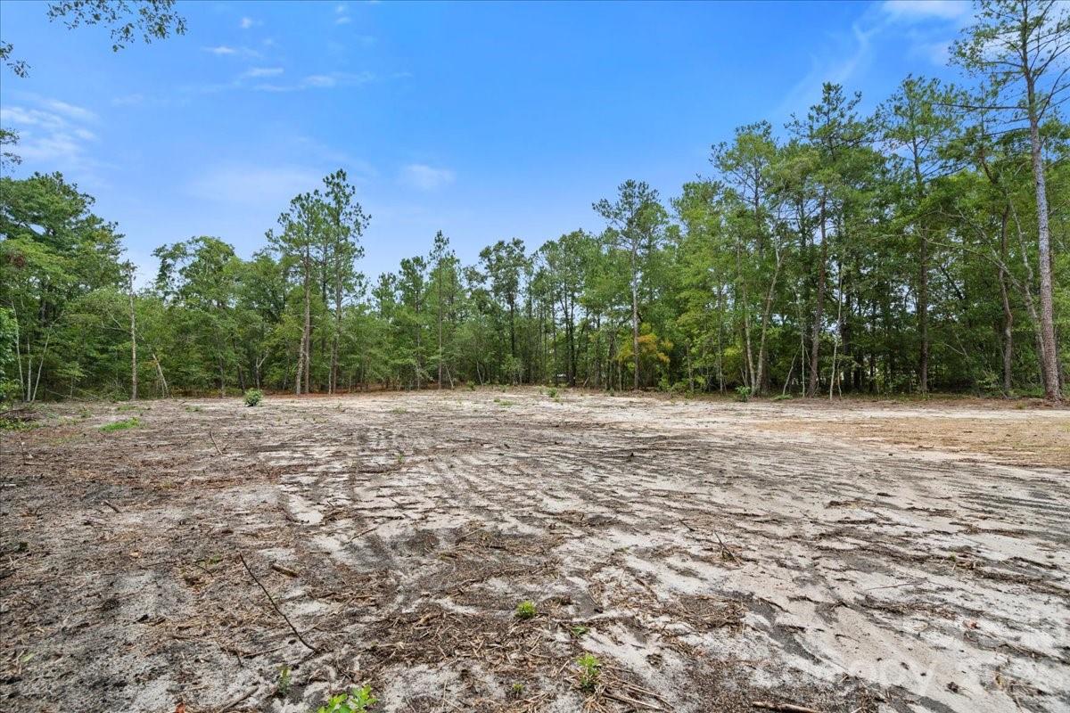 1139 Peach Orchard Road Property Photo 4
