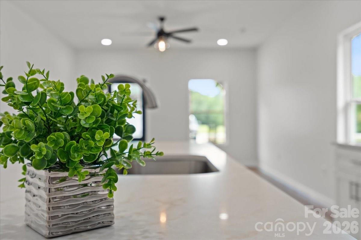 1139 Peach Orchard Road Property Photo 28