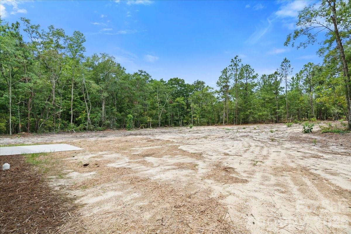 1139 Peach Orchard Road Property Photo 39