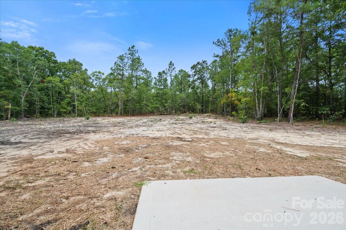 1139 Peach Orchard Road Property Photo 41