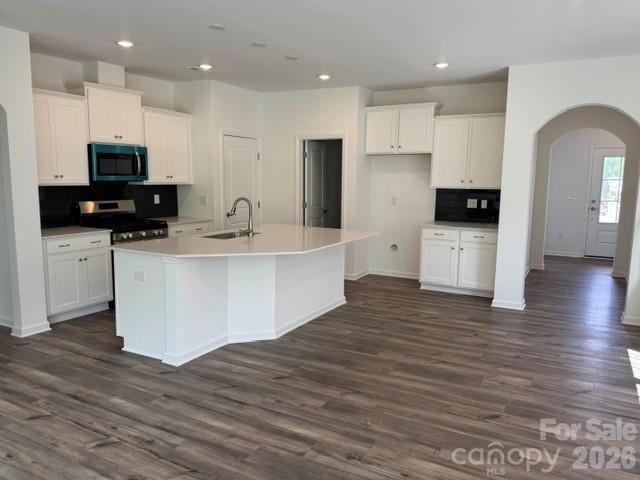 1534 Swallow Tail Drive 159 Property Photo 3