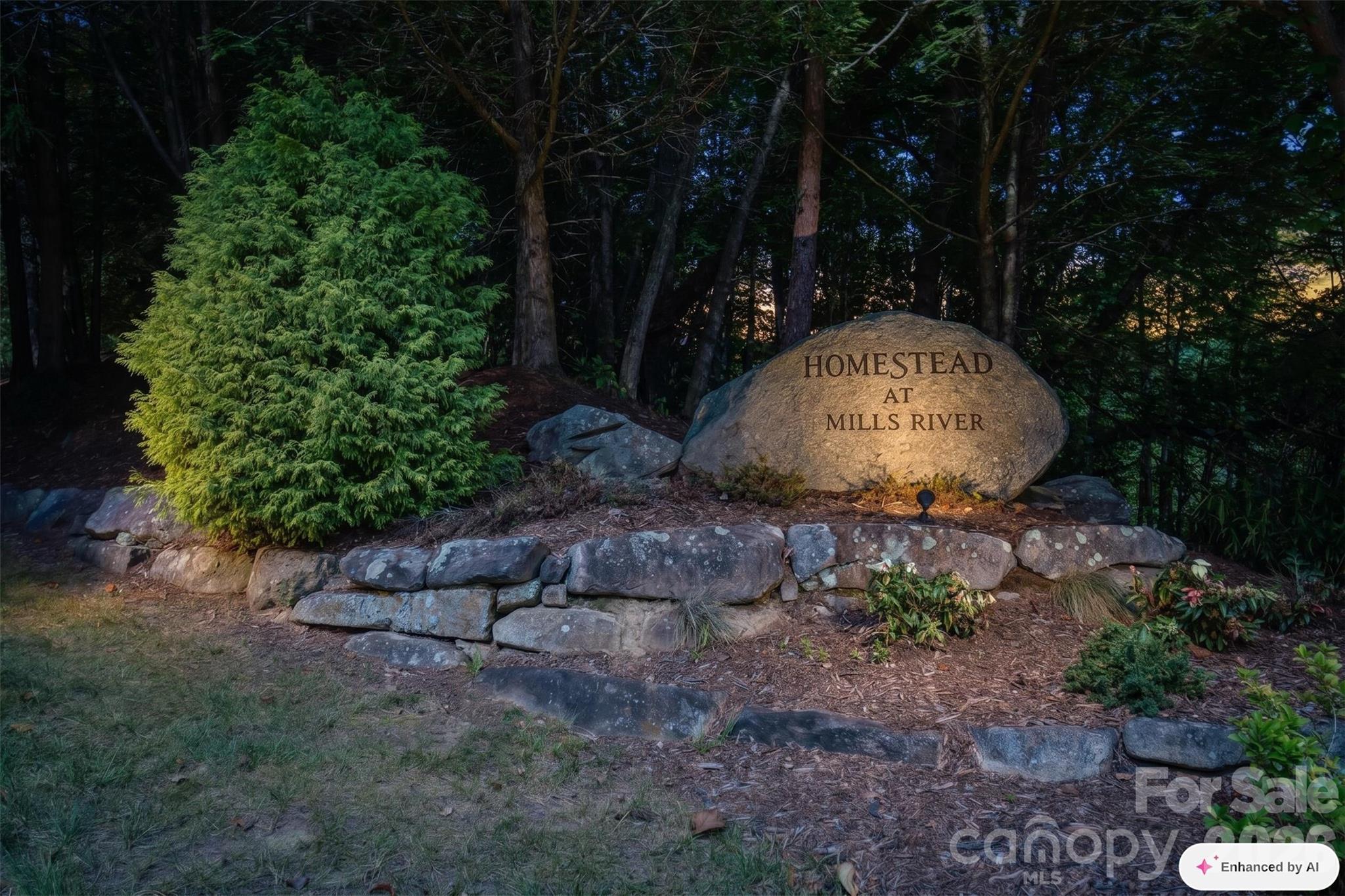 838 Mills River Way Property Photo 1