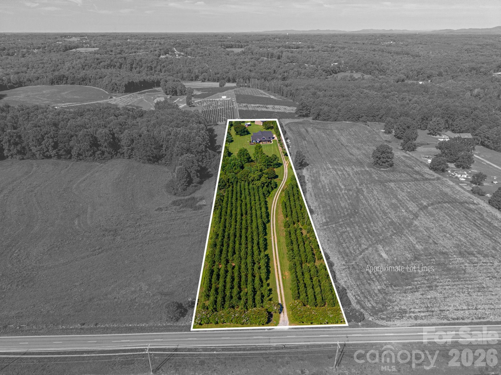 949 Cat Square Road Property Photo 2