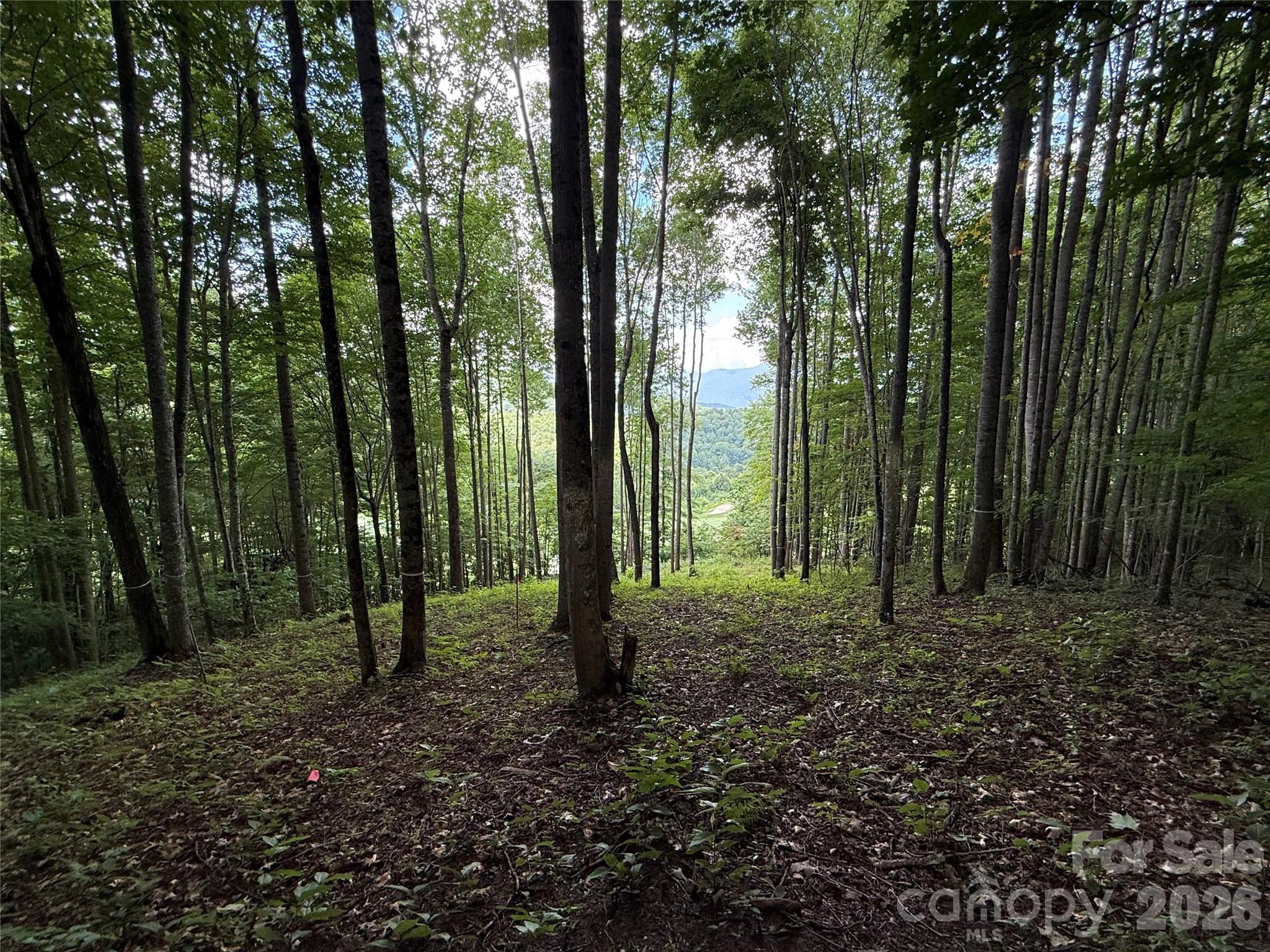 1781 High Line Road 63 Property Photo 2