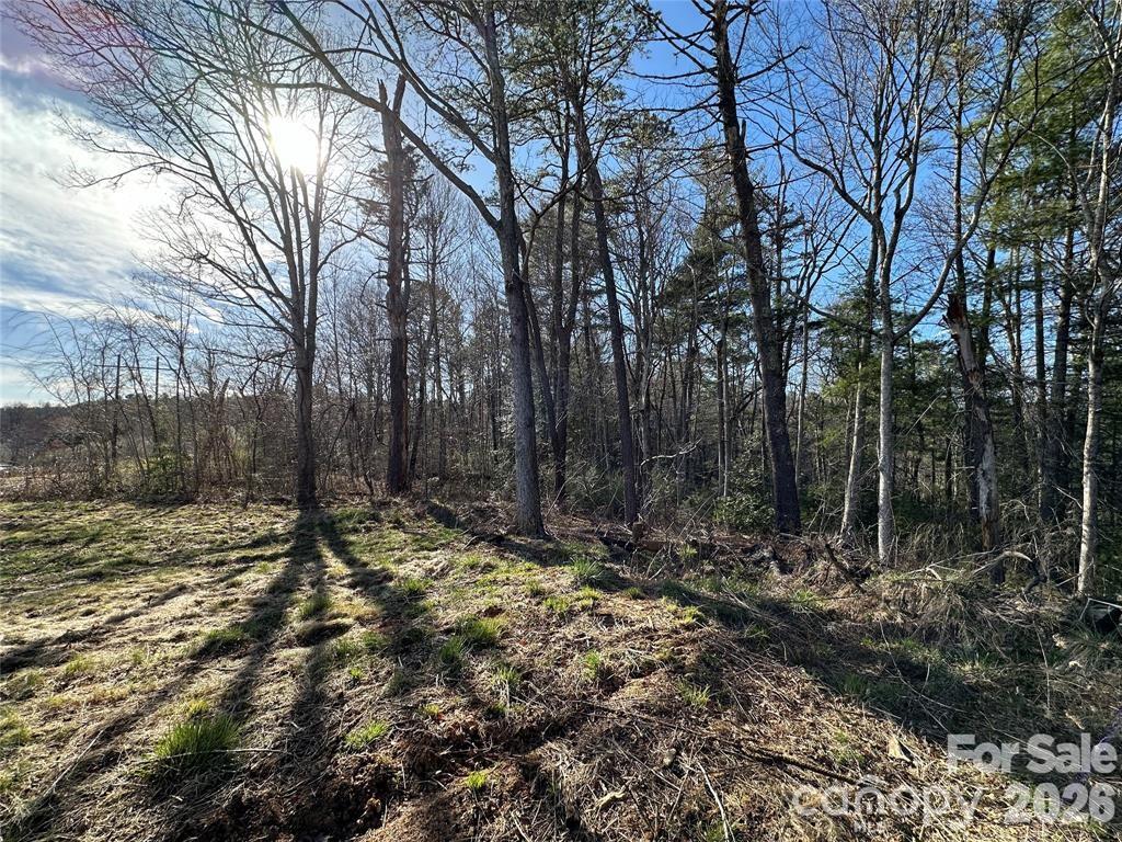 3132 Cane Creek Road Property Photo 13
