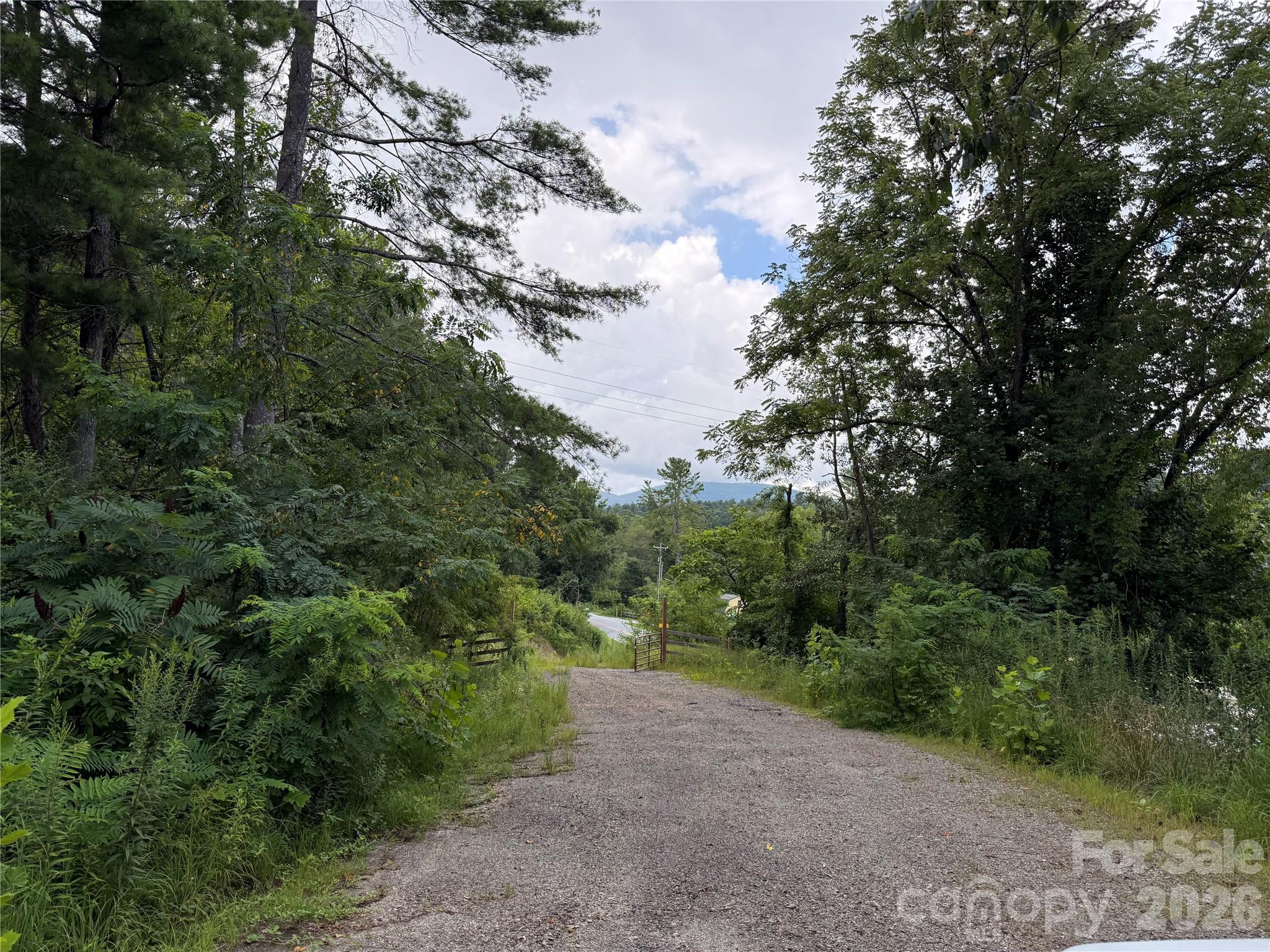 3132 Cane Creek Road Property Photo 18