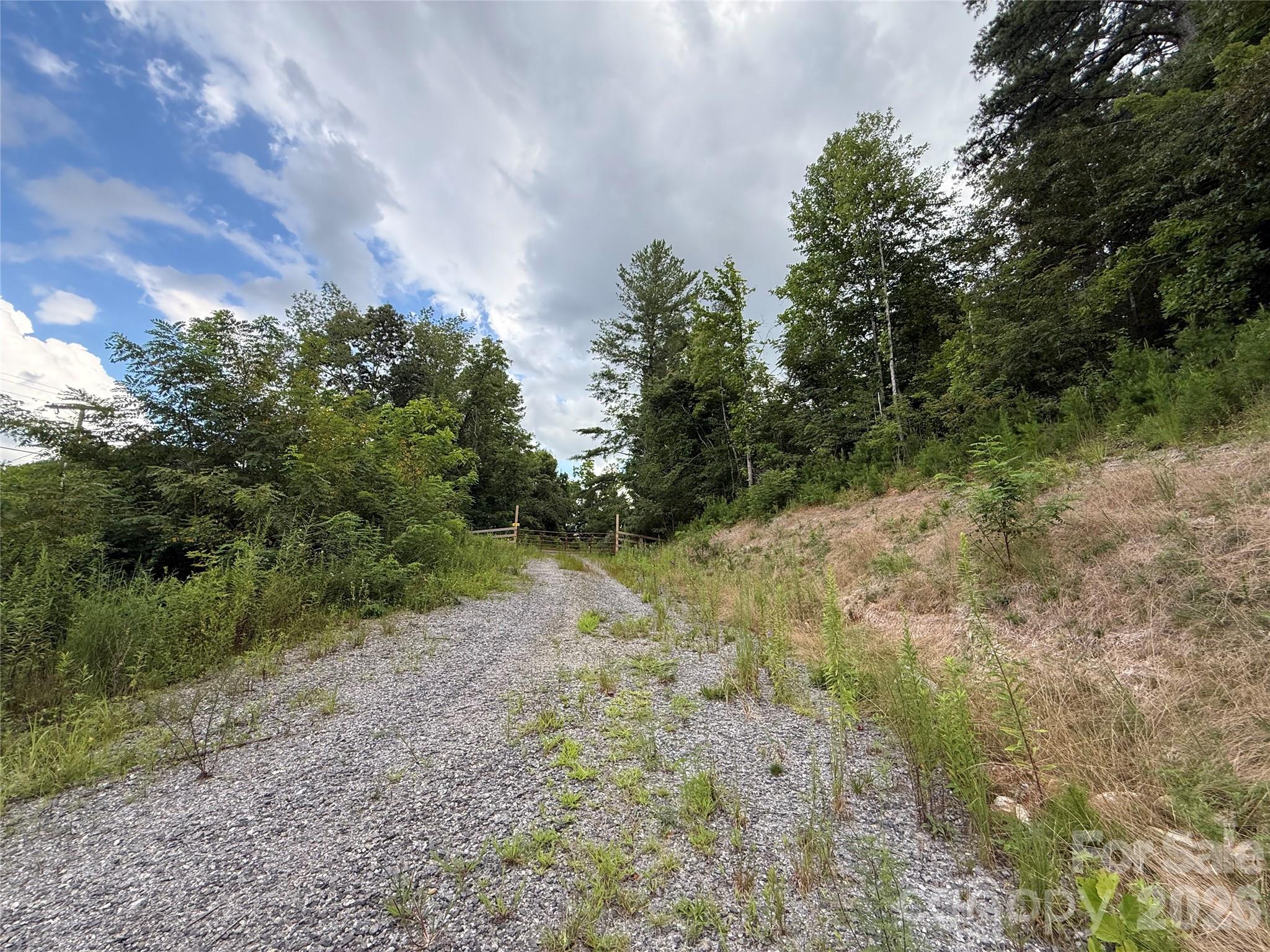 3132 Cane Creek Road Property Photo 19