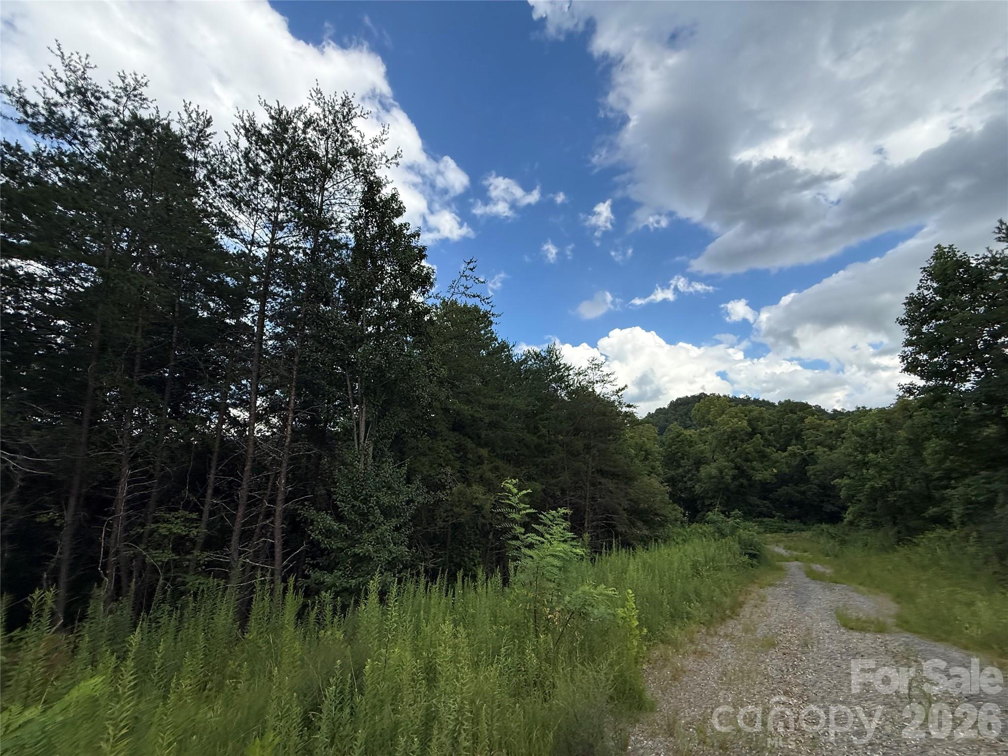 3132 Cane Creek Road Property Photo 20