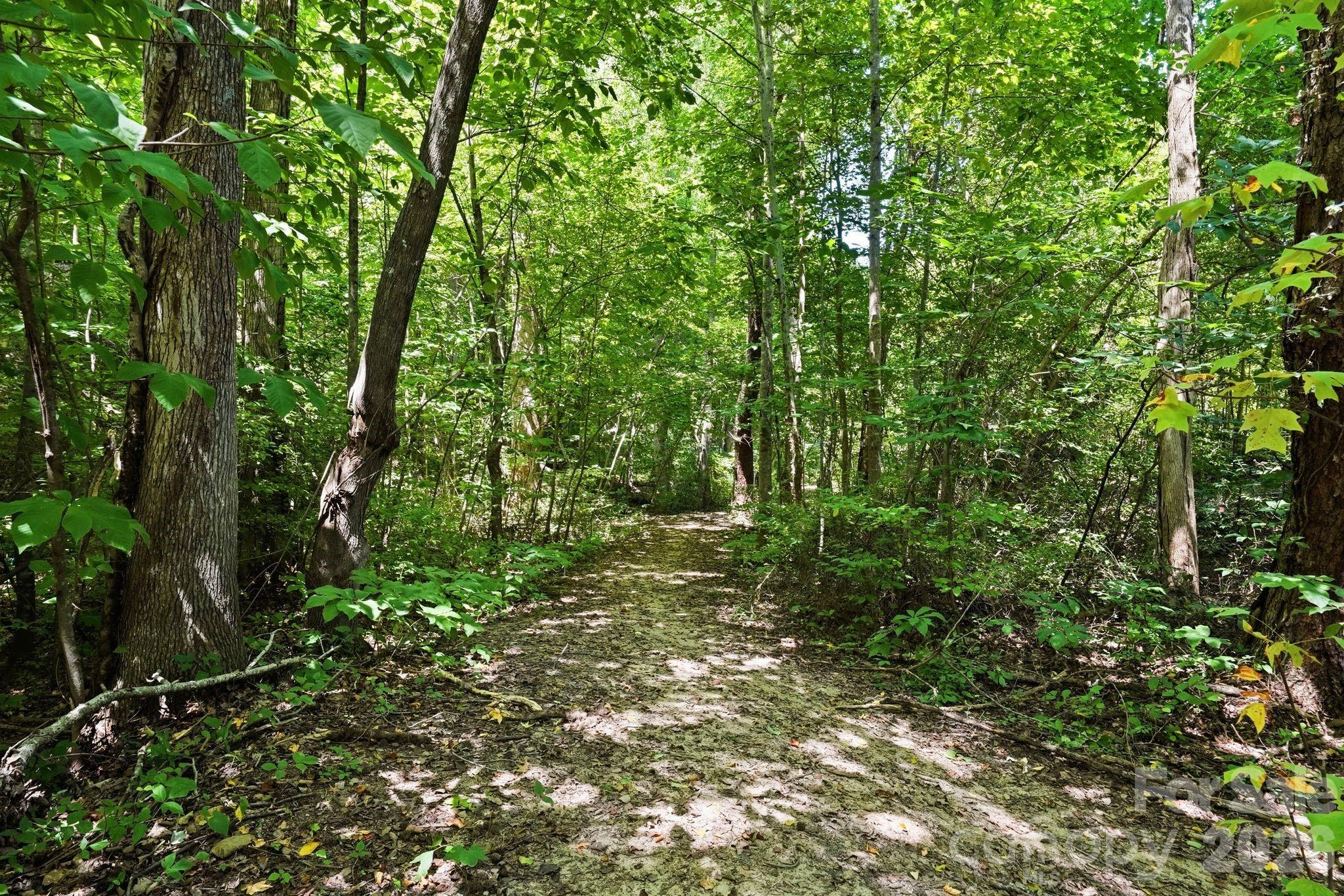 16705 Summers Walk Boulevard Property Photo 46