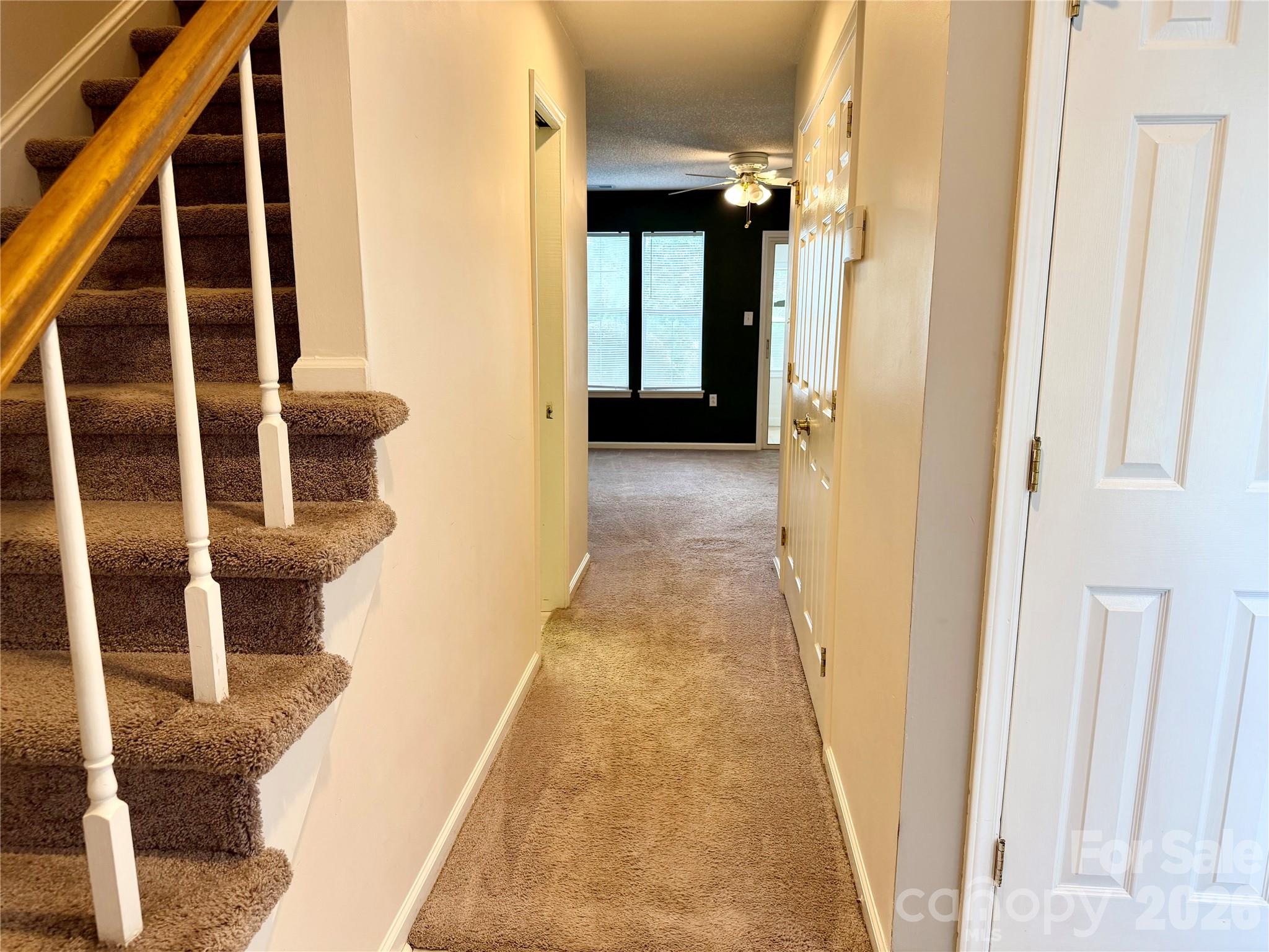 5313 Amity Springs Drive Property Photo 4