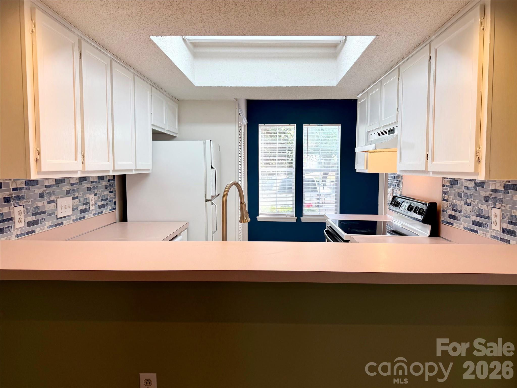 5313 Amity Springs Drive Property Photo 17