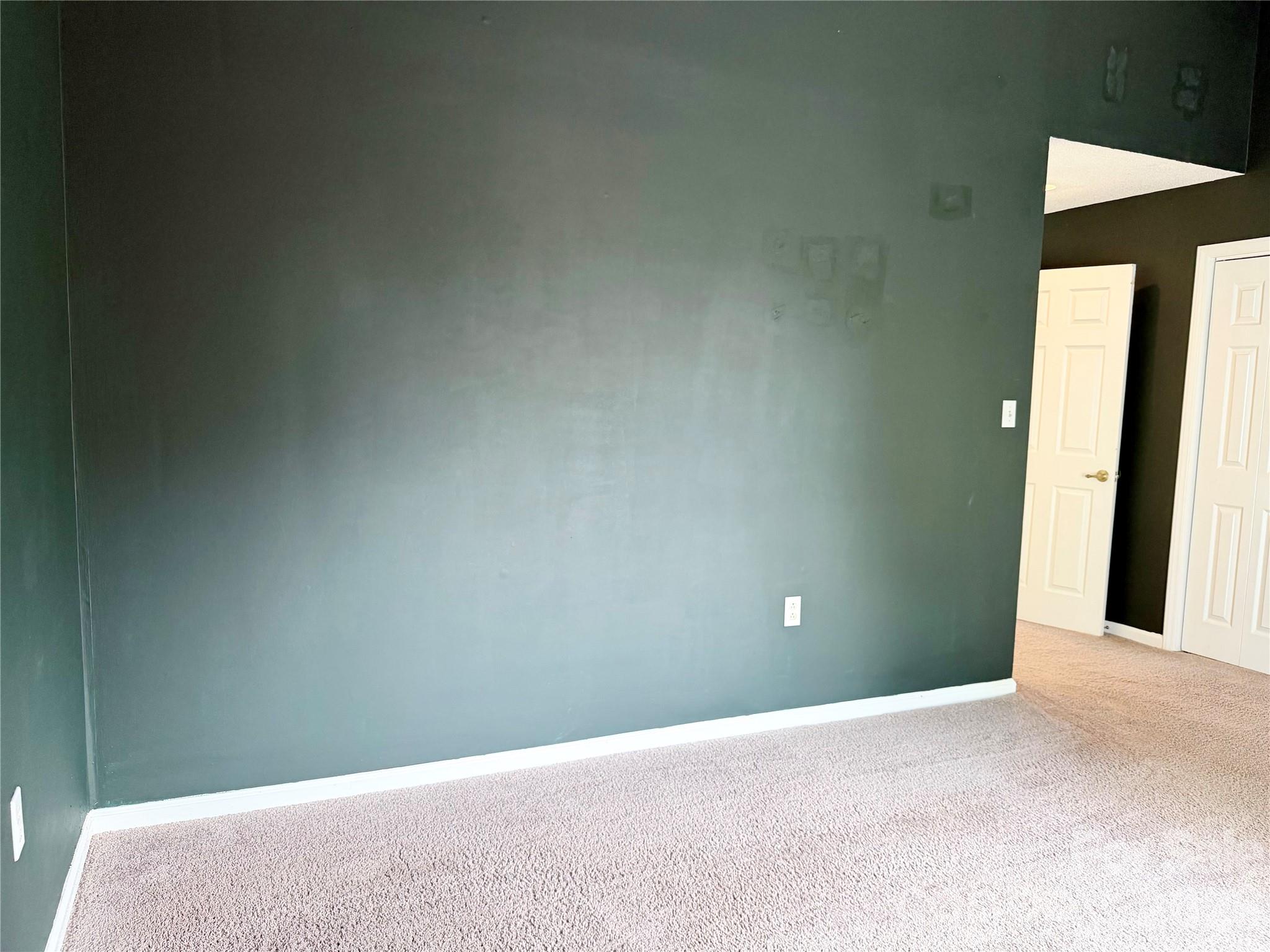 5313 Amity Springs Drive Property Photo 35