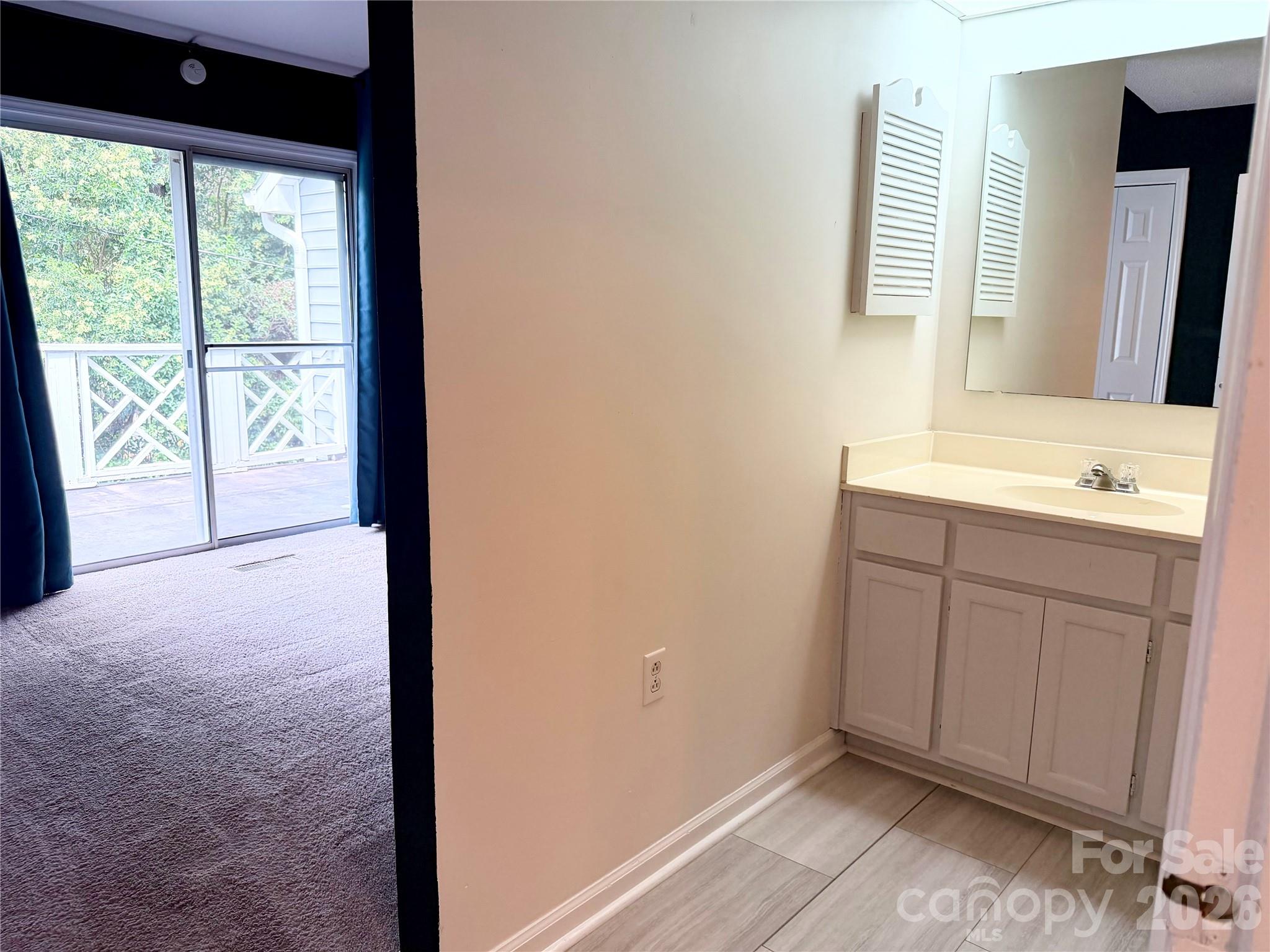 5313 Amity Springs Drive Property Photo 40