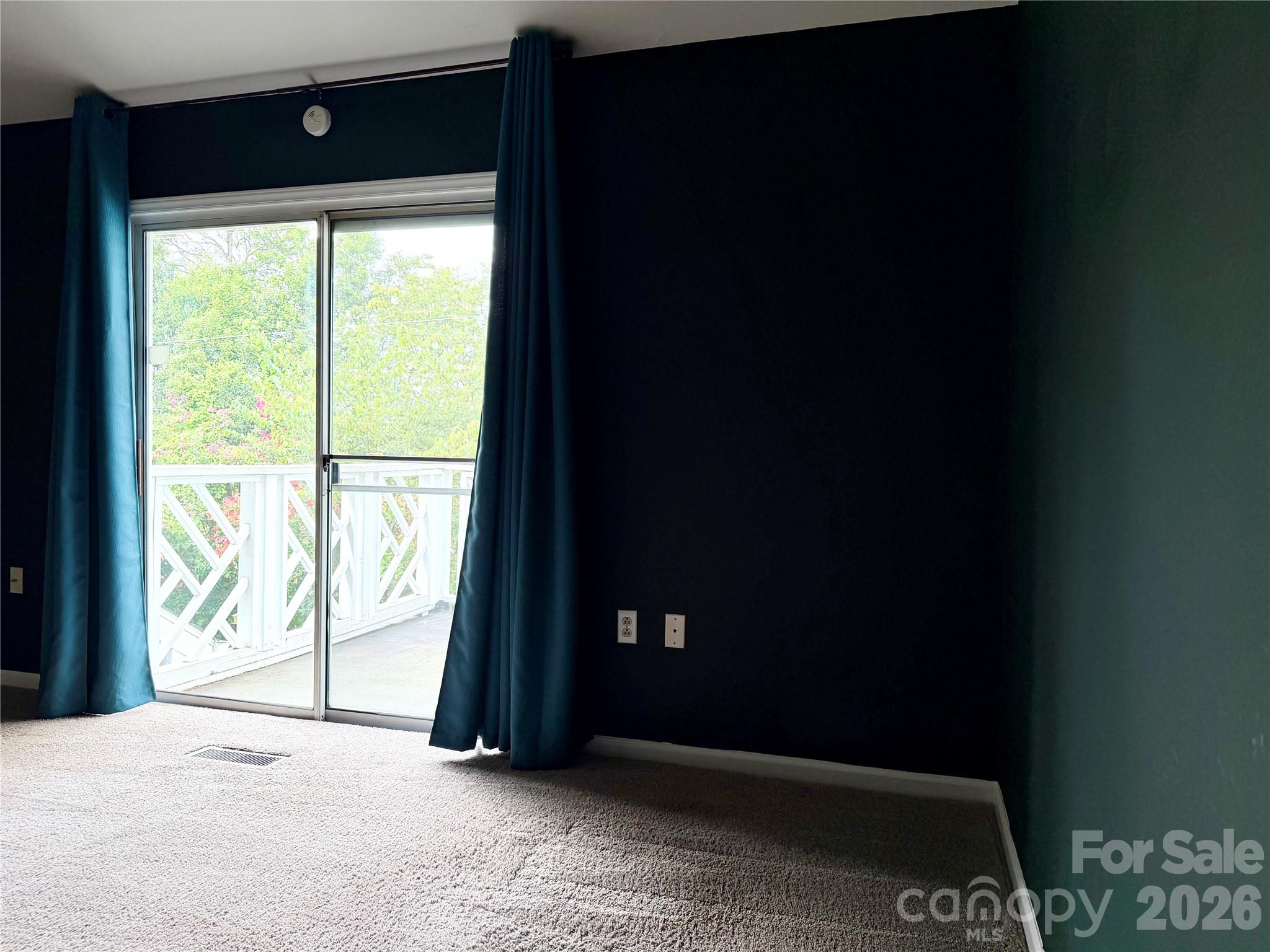 5313 Amity Springs Drive Property Photo 43