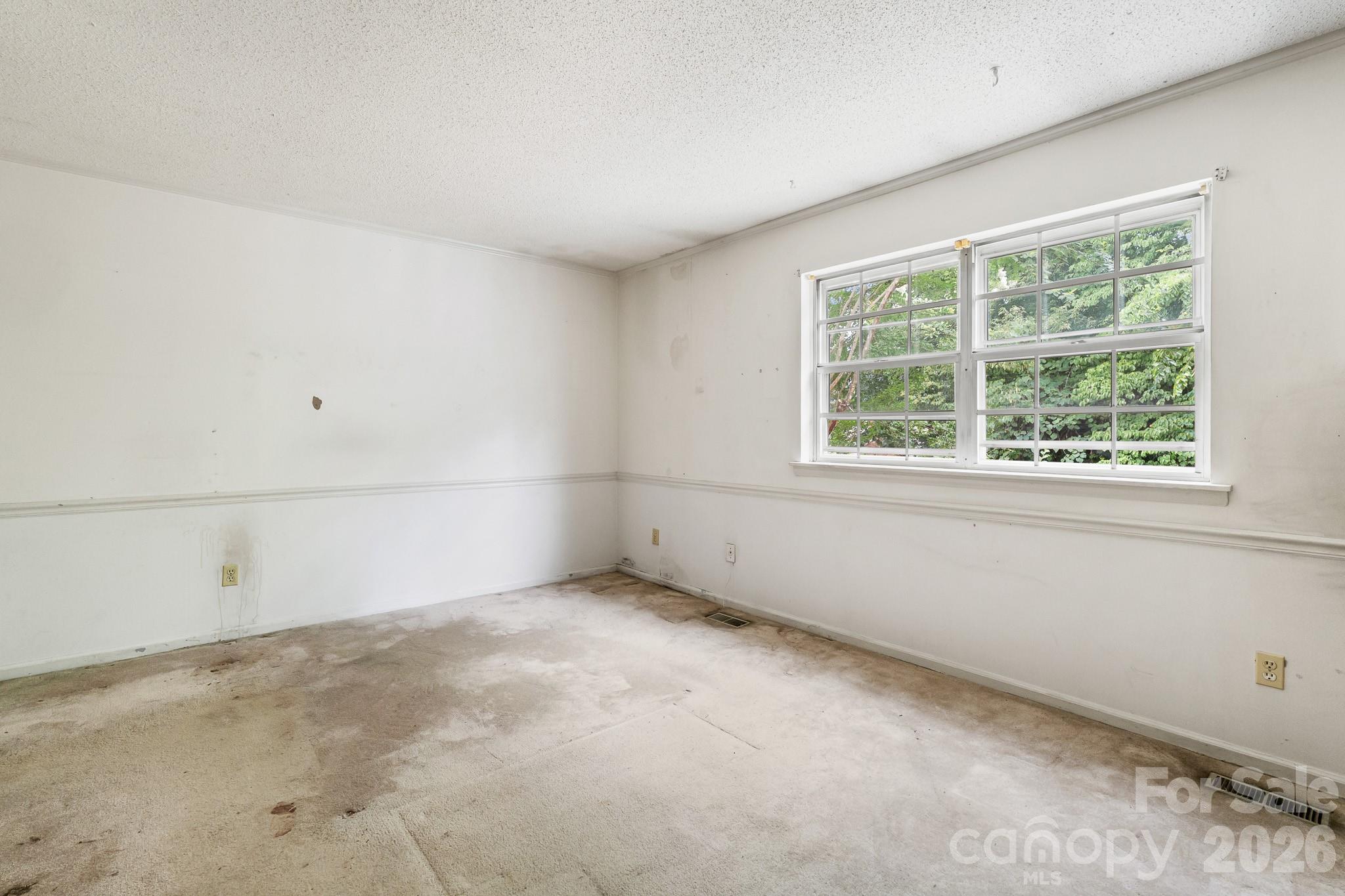 8504 Castle Pine Court Property Photo 11