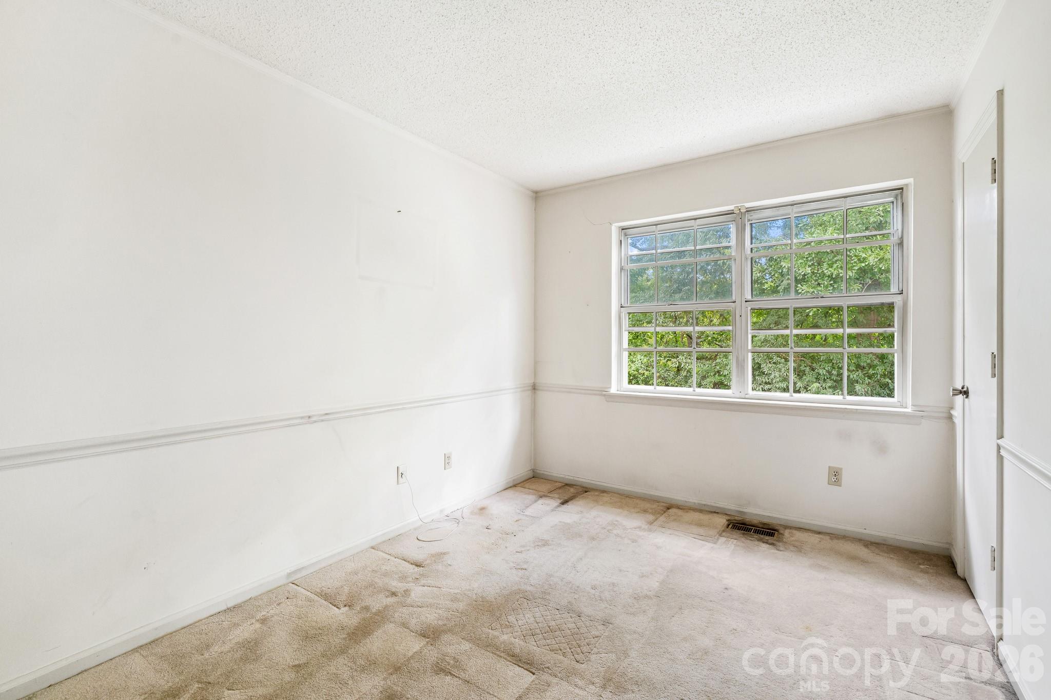 8504 Castle Pine Court Property Photo 12