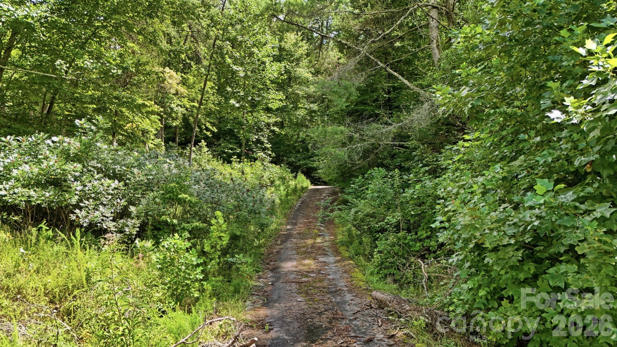 00 Brookstone Mountain Trail 34 Property Photo 13