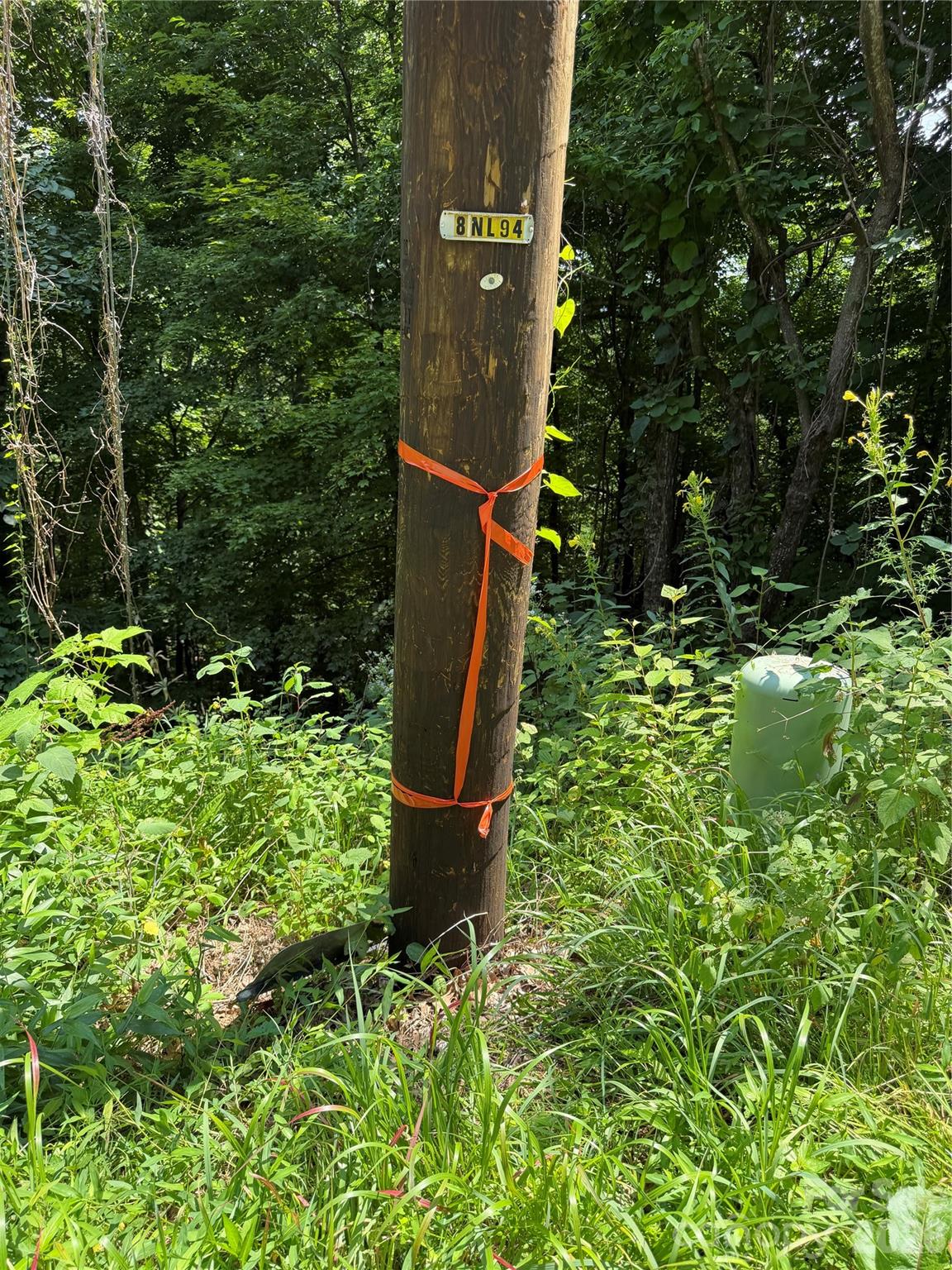 0000 Chimney Ridge Trail Property Photo 3